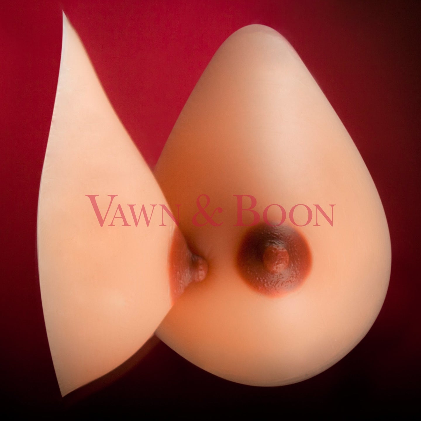 Vawn and Boon Arabella ELECTRA Silicone Breast Forms Mocha Nipples